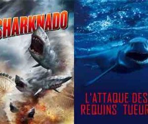Pluto TV Action: un marathon des plus voraces dès le 13 novembre