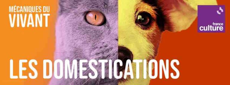 France Culture : «Les Mécaniques du vivant» se réinventent, avec une saison 5 consacrée aux domestications dès le 15 décembre