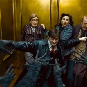 TF1 : plus de 2,5 millions de fans devant «Harry Potter et les reliques de la mort (Partie 1)» mardi