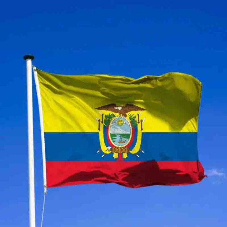 L’armée équatorienne retire des centaines de mètres de câbles internet et de télévision par satellite d’une prison