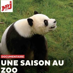 NRJ 12 : 1ère chaîne nationale auprès des 25-34 ans avec «Une saison au zoo»