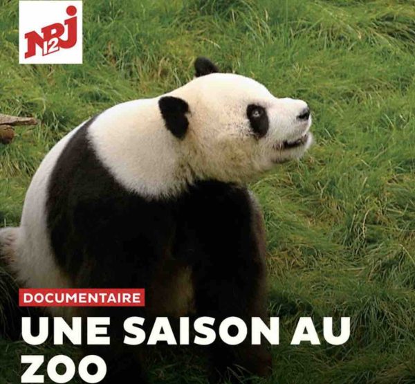 NRJ 12 : 1ère chaîne nationale auprès des 25-34 ans avec «Une saison au zoo»