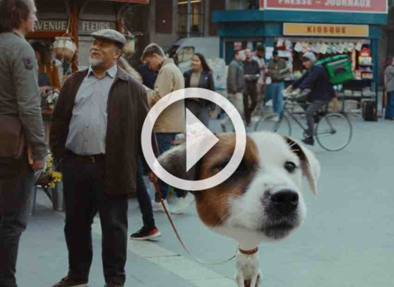 Orange et Apple lancent un nouvelle campagne avec Publicis Conseil