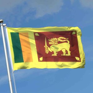 Réseaux sociaux : le Sri Lanka adopte une loi sévère