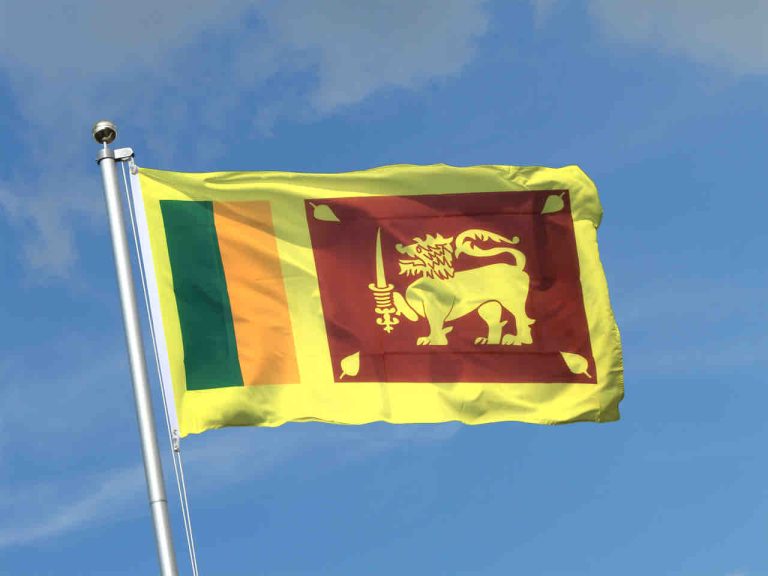 Réseaux sociaux : le Sri Lanka adopte une loi sévère