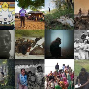 Sunny Side of the Doc : sélection officielle du Global Pitch 2024