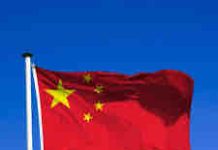 Puces : accord en vue entre La Haye et Pékin