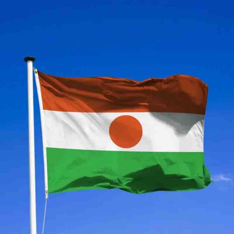 Le ministre de la Communication du Niger ordonne la suppression d’une application de sensibilisation à la santé sexuelle féminine