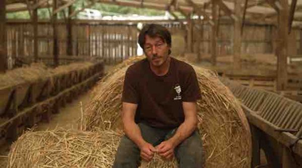 Public Sénat : l’inédit «La guerre des moutons» samedi 24 février à 21h00