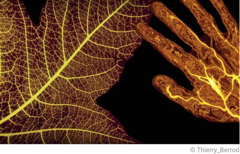 ARTE : «Le génie caché des plantes» propose une plongée fascinante dans l’intimité du monde végétal, samedi 6 avril  à 22h20