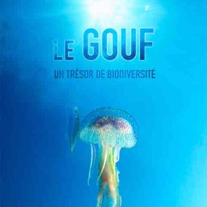 GEDEON Programmes : «LE GOUF, Un trésor de biodiversité» au FIDOM 2024