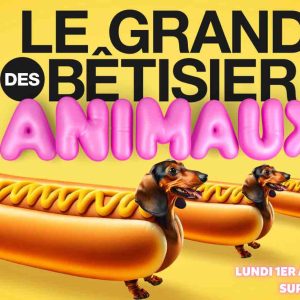 Gulli : la nouvelle émission «Le Grand Bêtisier des Animaux» lundi 1er avril à 21h05