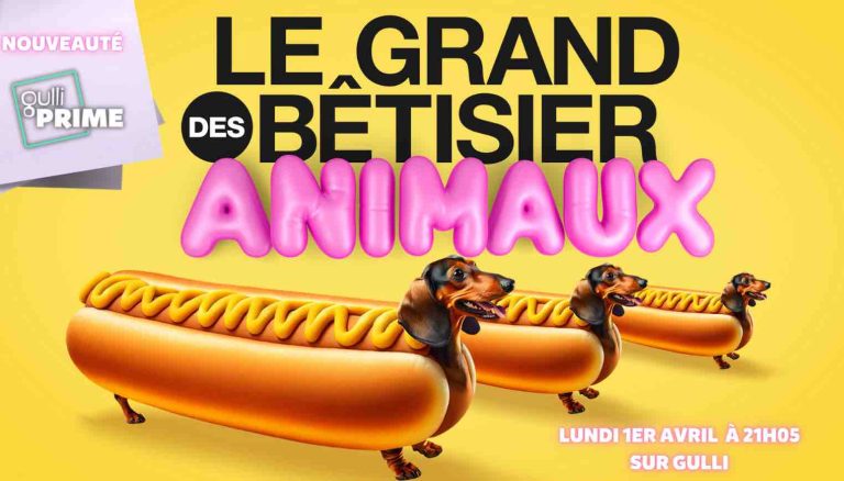 Gulli : la nouvelle émission «Le Grand Bêtisier des Animaux» lundi 1er avril à 21h05