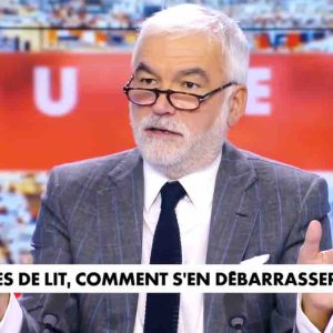 Punaises de lit et immigration: la chaine CNews «mise en garde» par le régulateur des médias, l’Arcom