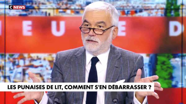 Punaises de lit et immigration: la chaine CNews «mise en garde» par le régulateur des médias, l’Arcom