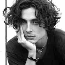 Timothée Chalamet va jouer Bob Dylan dans un biopic en cours de tournage à New York