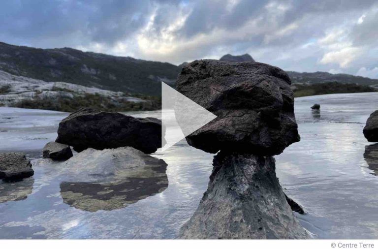 ARTE : programmation spéciale «Jour de la Terre» samedi 20 avril
