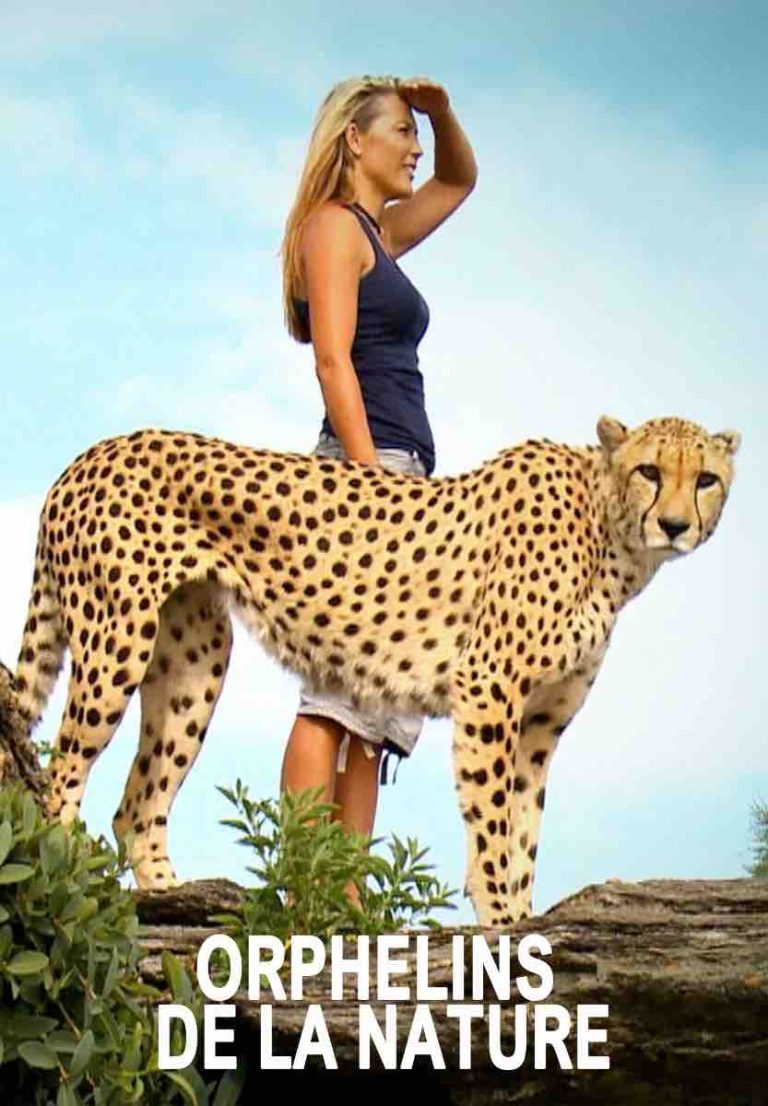 Pluto TV : la série documentaire «Orphelins de la nature» tous les soirs de la semaine du 15 avril à 20h00 sur Pluto TV Animaux