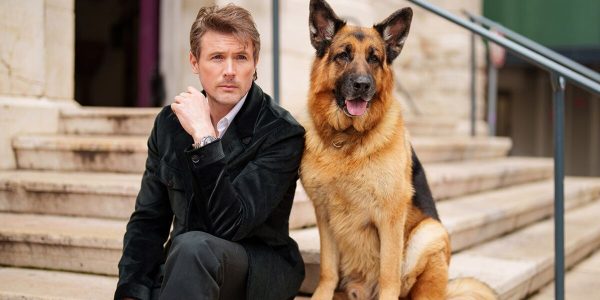 France 3 : «Hudson et Rex» en hausse (+269.500) dimanche en Prime