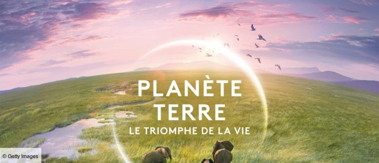 France 2 : 1.842.000 curieux devant le documentaire «Planète Terre : le triomphe de la vie» mardi en Prime