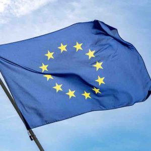 Brut avec franceinfo dévoilent une enquête sur le vote des jeunes aux élections européennes