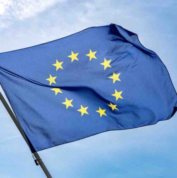 Brut avec franceinfo dévoilent une enquête sur le vote des jeunes aux élections européennes