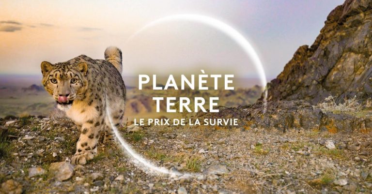 France 2 : 1.634.000 curieux devant «Planète Terre : le prix de la survie» 