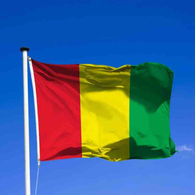 La junte en Guinée justifie l’interdiction de médias par leurs «dérapages réguliers»