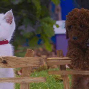 France Télévisions: la nouvelle série «Moustache et Patoune», mettant en scène des animaux, arrive le mercredi 3 juillet sur la plateforme Okoo