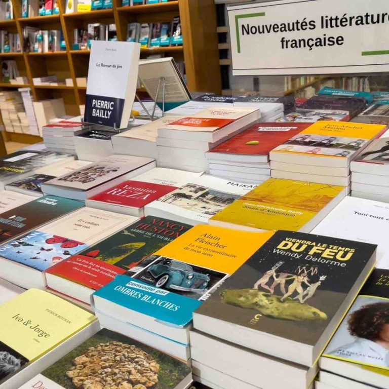 Le marché français du livre en léger rebond en 2023, les éditeurs publient moins de nouveautés
