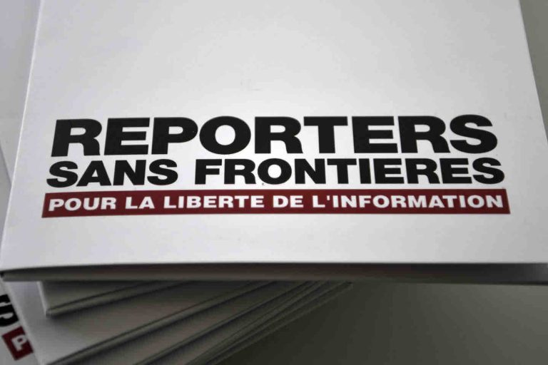 Niger : RSF craint «l’utilisation abusive» d’une loi réprimant la diffusion numérique de «données de nature à troubler l’ordre public»