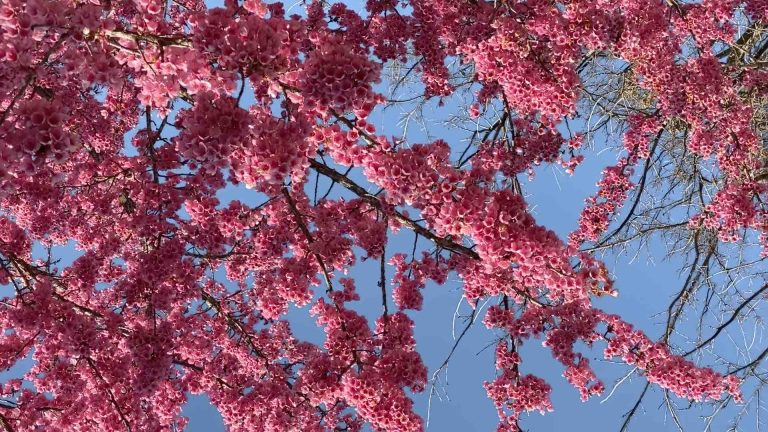 France 3/ «L’heure D» : «Lettre errante» mercredi 31 juillet