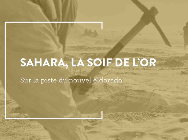 Visa d’or de l’information numérique franceinfo : «Sahara, la soif de l’or» (Les Jours), Lauréat 2024