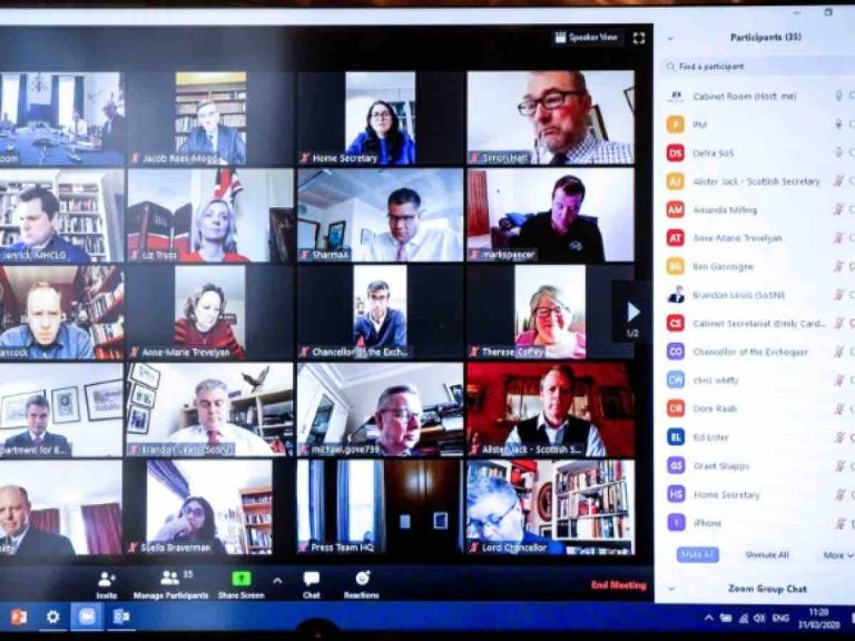 Visioconférences: de la nature en arrière-plan