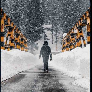 ELEPHANT : adaptation en série du roman de Franck Thilliez, «Norferville»