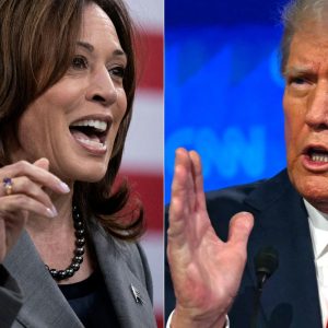Donald Trump et Kamara Harris visés par une cyberattaque attribuée à des acteurs chinois, selon le FBI 