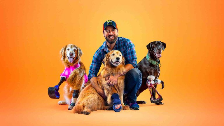 Pluto TV Animaux : «Wizard of the Paws» dès le 28 octobre