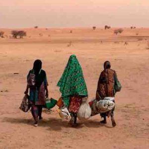France Télévisions : soirée spéciale COP29 le samedi 16 novembre sur Culturebox à partir de 21h00