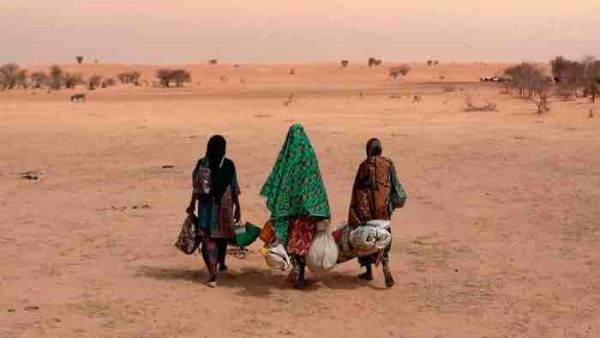France Télévisions : soirée spéciale COP29 le samedi 16 novembre sur Culturebox à partir de 21h00