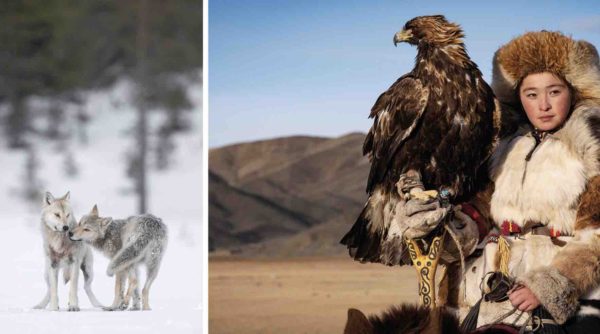 ARTE : soirée évasion en Mongolie et en Finlande avec 2 documentaires, le 24 décembre à 20h50 