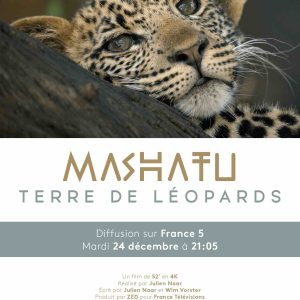 France 5/ ZED : «Mashatu, terre de léopards» mardi 24 décembre à 21h05