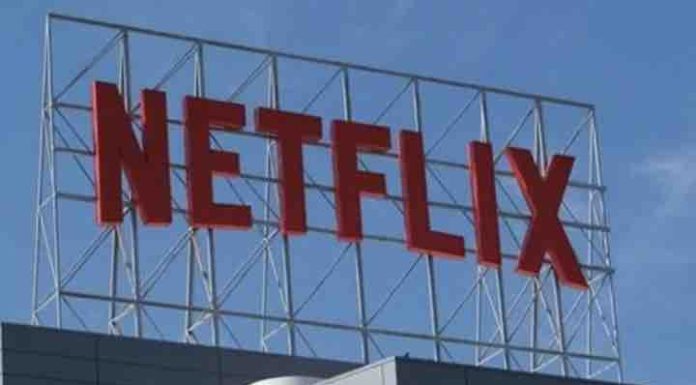 Les plateformes comme Netflix et Prime Video ont contribué pour 397 M EUR à la création française en 2024