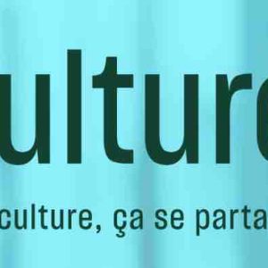 Culture Prime : forte croissance des audiences en 2024 