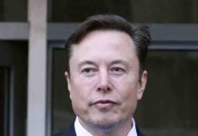 L’extrême droite soutient Elon Musk dans son bras de fer avec la télévision allemande ZDF