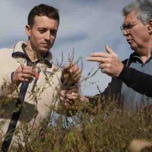 France 5 : le documentaire inédit  «Sur le Front - Pollen : bientôt tous allergiques ? « Lundi 17 mars à 21h05