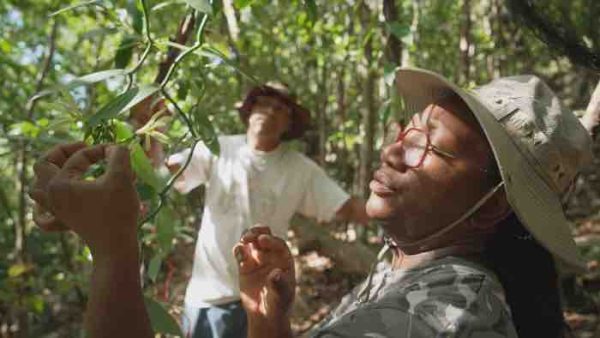 France TV : l’inédit «Guadeloupe, graines d’avenir» sur France 3 et La1ere.fr lundi 24 février à 23h40