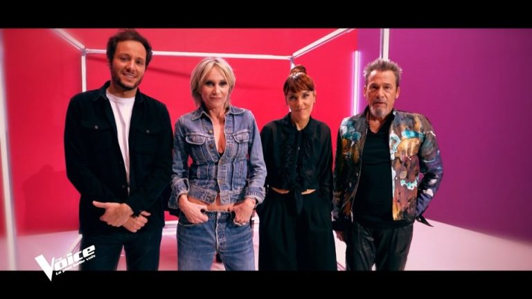 TF1 : «The Voice» en baisse (-75.500) samedi 