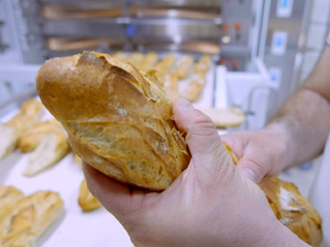 France 5 : le doc «Du pain coûte que croûte», leader du Prime mardi  