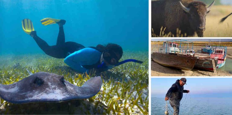 ARTE : programmation spéciale «Jour de la Terre» sur ARTE et arte.tv mardi 22 avril