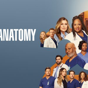 TF1 : «Grey’s Anatomy», leader du Prime mercredi, sous les 2 millions  